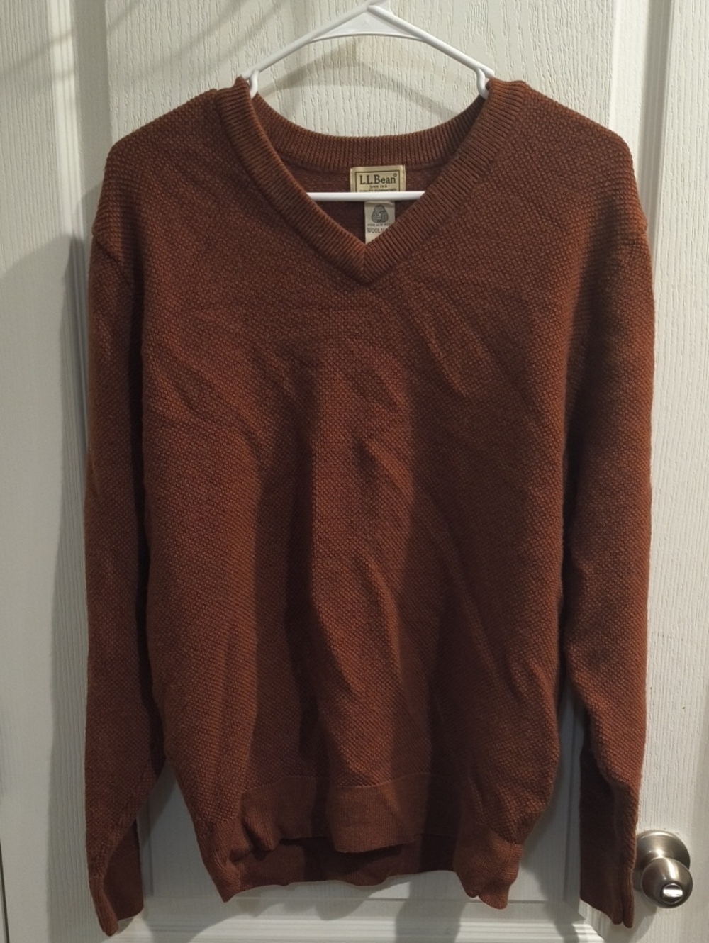 L.L. Bean Men's V-Neck Sweater in Burnt Orange